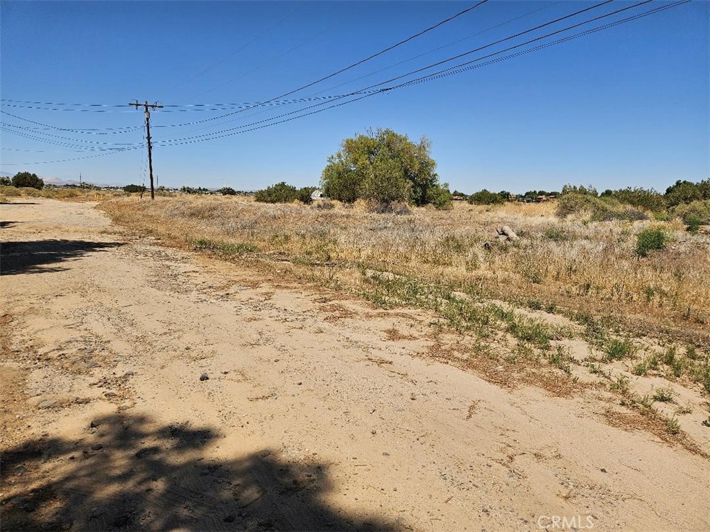 MLS #SR25116674 image #4