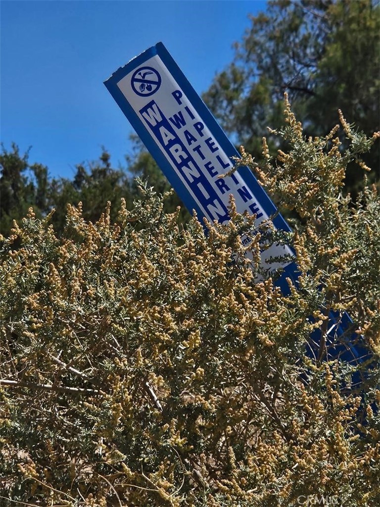 MLS #SR25116674 image #5