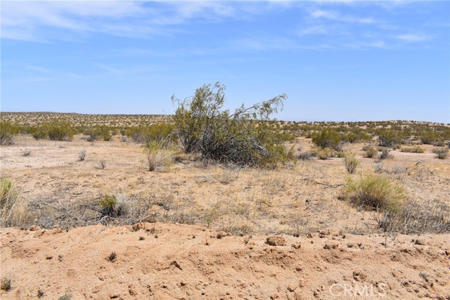 MLS #SR25119762 image #8