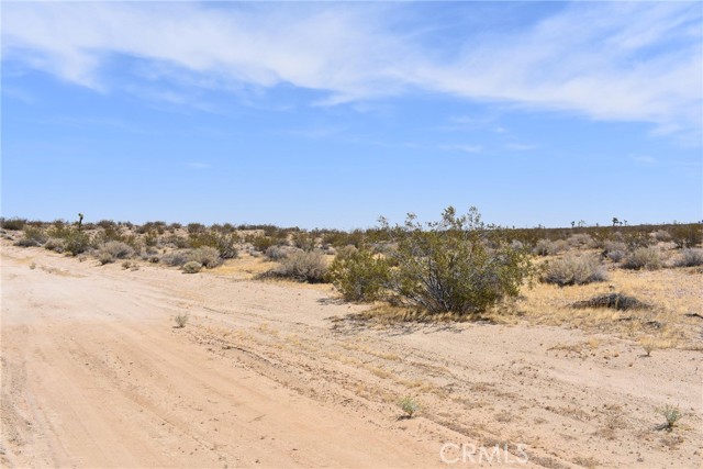 MLS #SR25119857 image #4