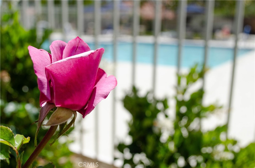 MLS #SR25121677 image #37