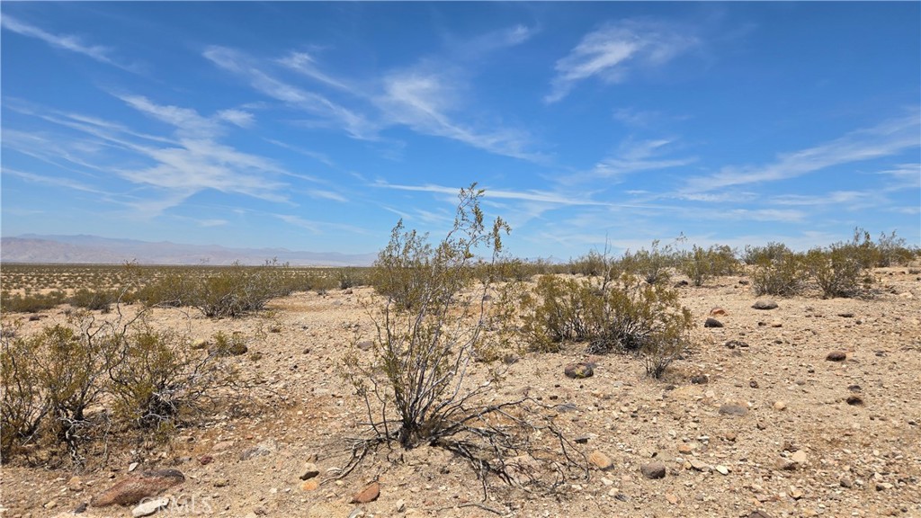 MLS #SR25123065 image #10