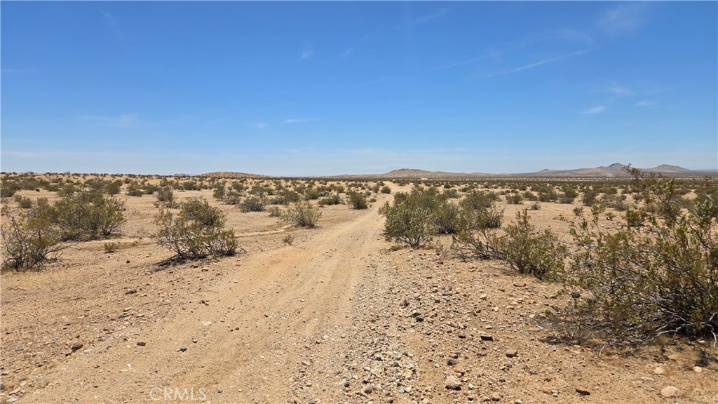 MLS #SR25123065 image #6