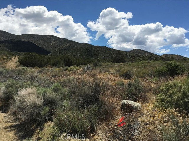 MLS #SR25124427 image #2