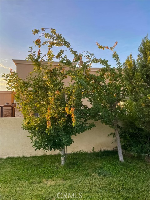 MLS #SR25125117 image #67