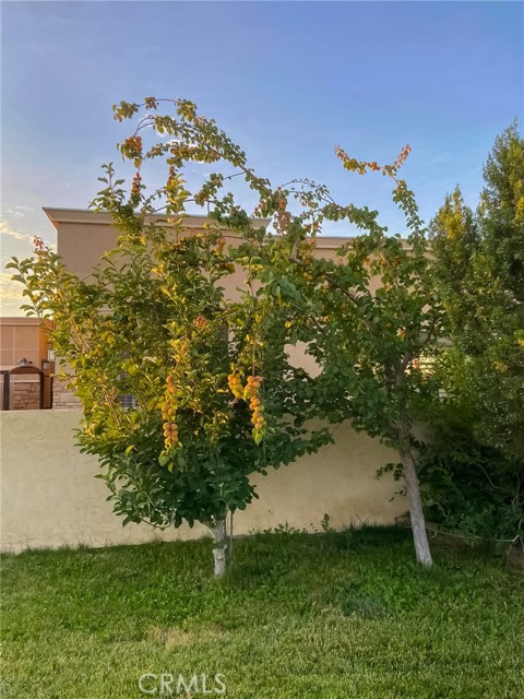 MLS #SR25125117 image #70