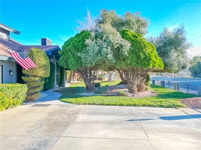 MLS #SR25125117 image #8