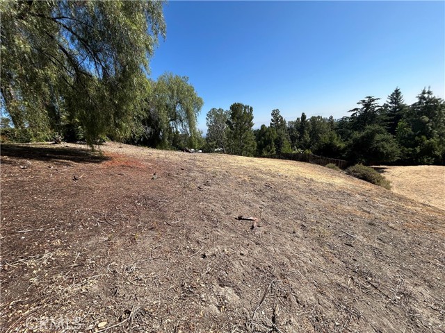 MLS #SR25125496 image #3