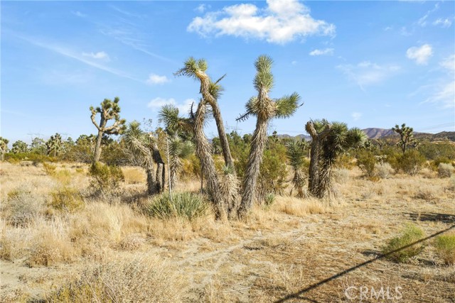 MLS #SR25126604 image #23