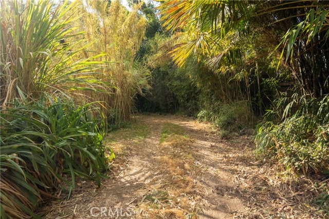 MLS #SR25127109 image #12