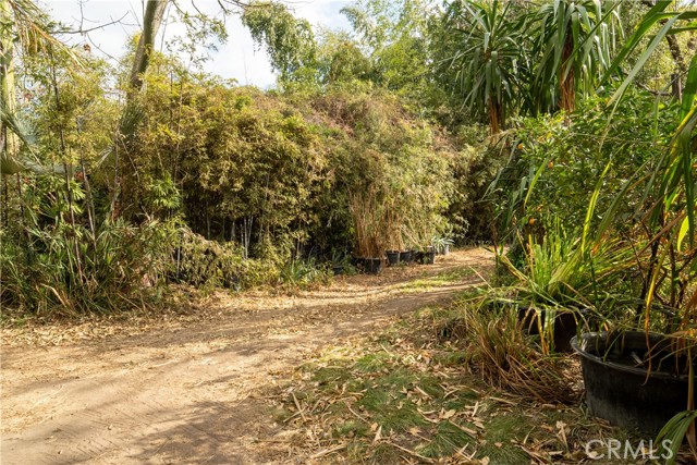 MLS #SR25127109 image #13