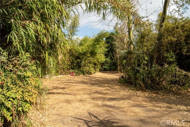 MLS #SR25127109 image #14