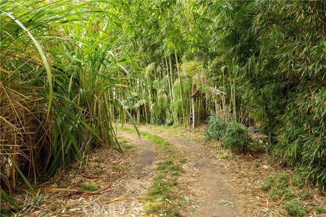 MLS #SR25127109 image #16