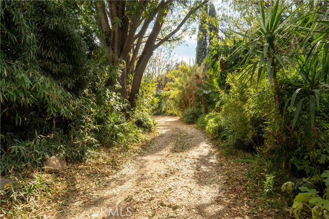 MLS #SR25127109 image #4