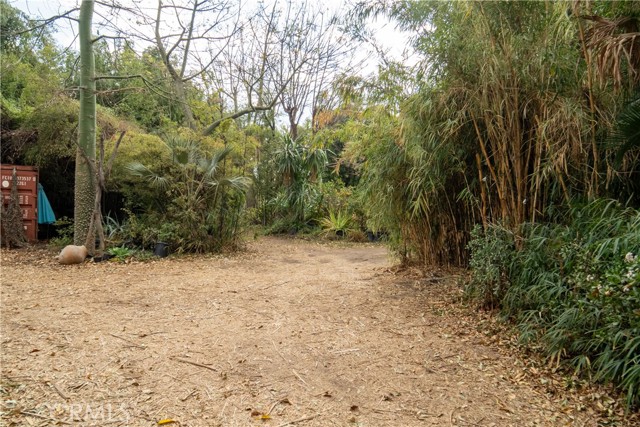 MLS #SR25127109 image #5