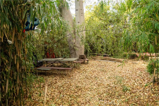 MLS #SR25127109 image #9