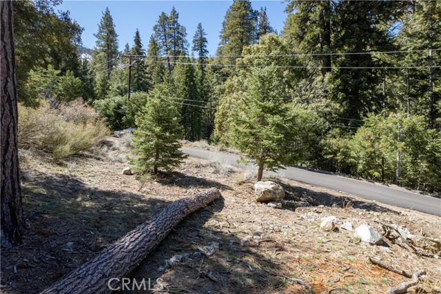 MLS #SR25127524 image #3