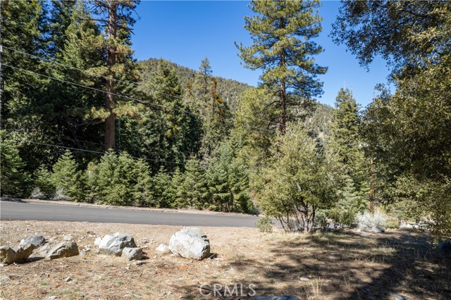 MLS #SR25127524 image #4