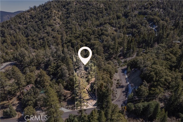 MLS #SR25127524 image #5