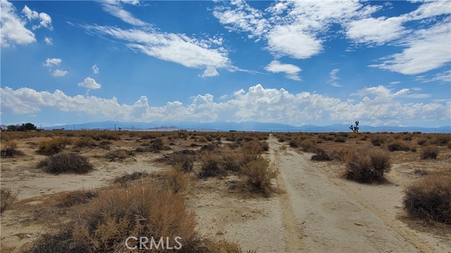 MLS #SR25129228 image #1