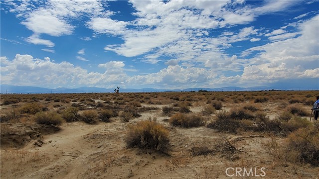 MLS #SR25129228 image #19