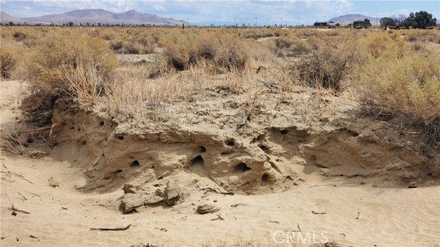 MLS #SR25129228 image #20