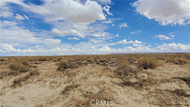 MLS #SR25129228 image #7