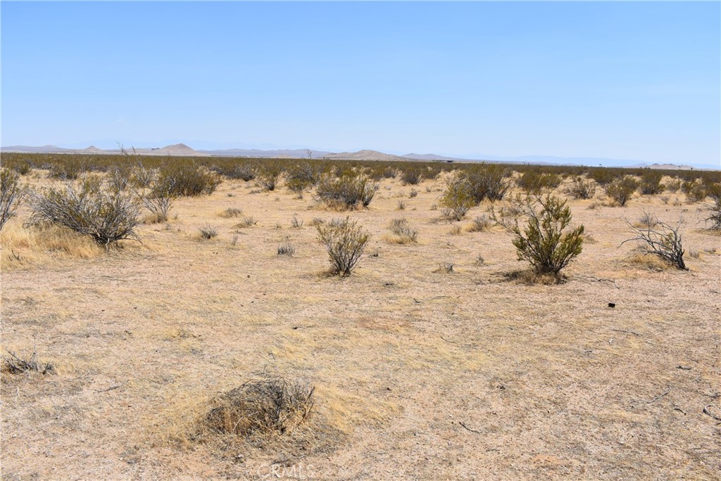 MLS #SR25129299 image #2