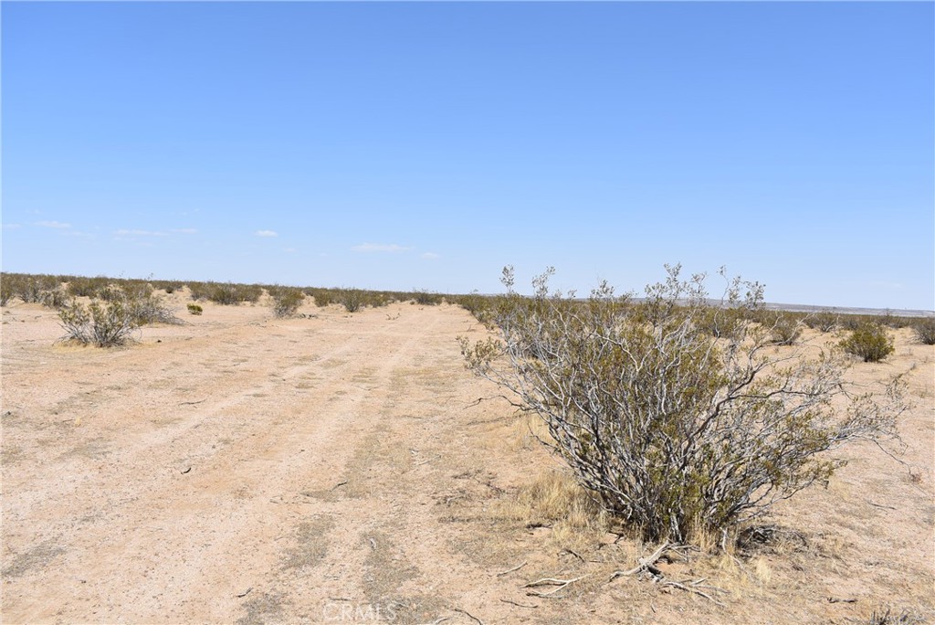 MLS #SR25129299 image #3