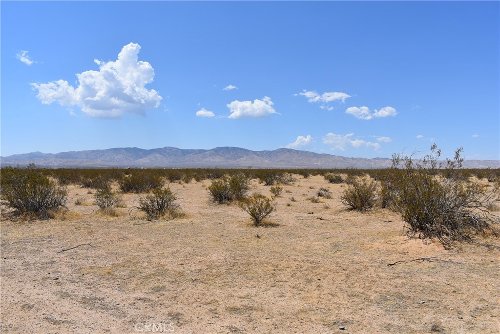 MLS #SR25129299 image #4