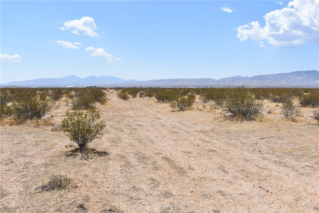 MLS #SR25129299 image #5