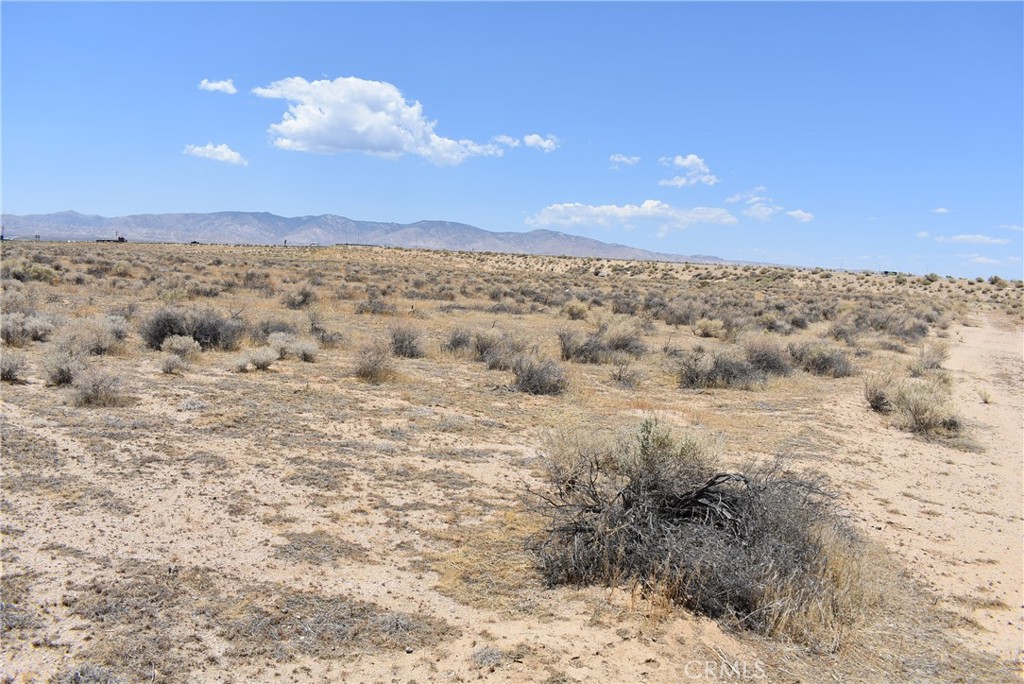 MLS #SR25129318 image #2