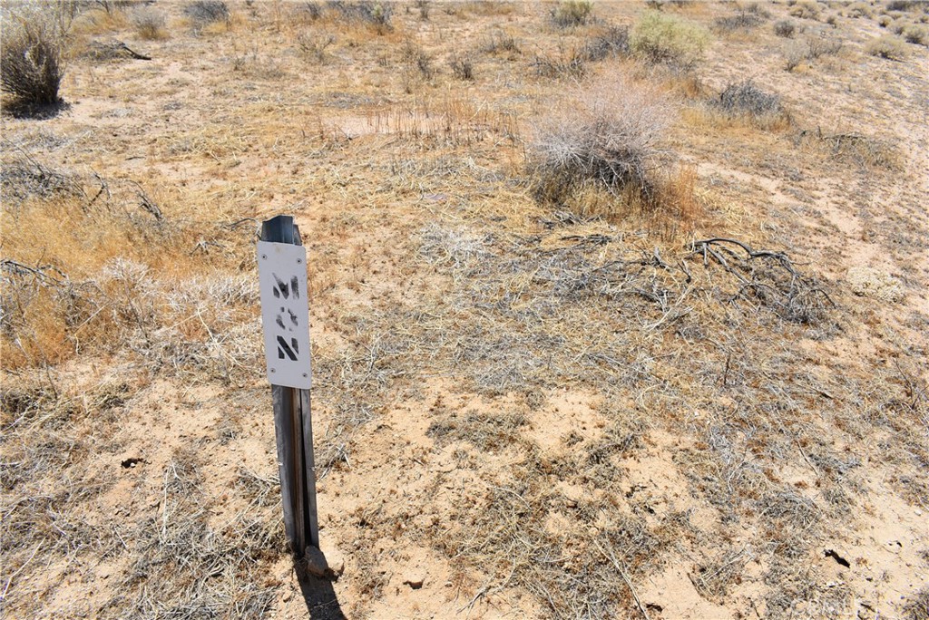 MLS #SR25129318 image #4