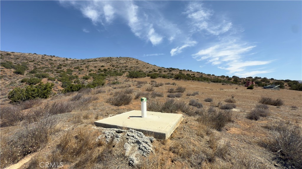 MLS #SR25130278 image #5