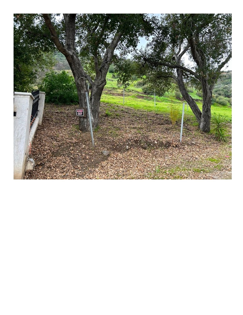 MLS #SR25130837 image #3