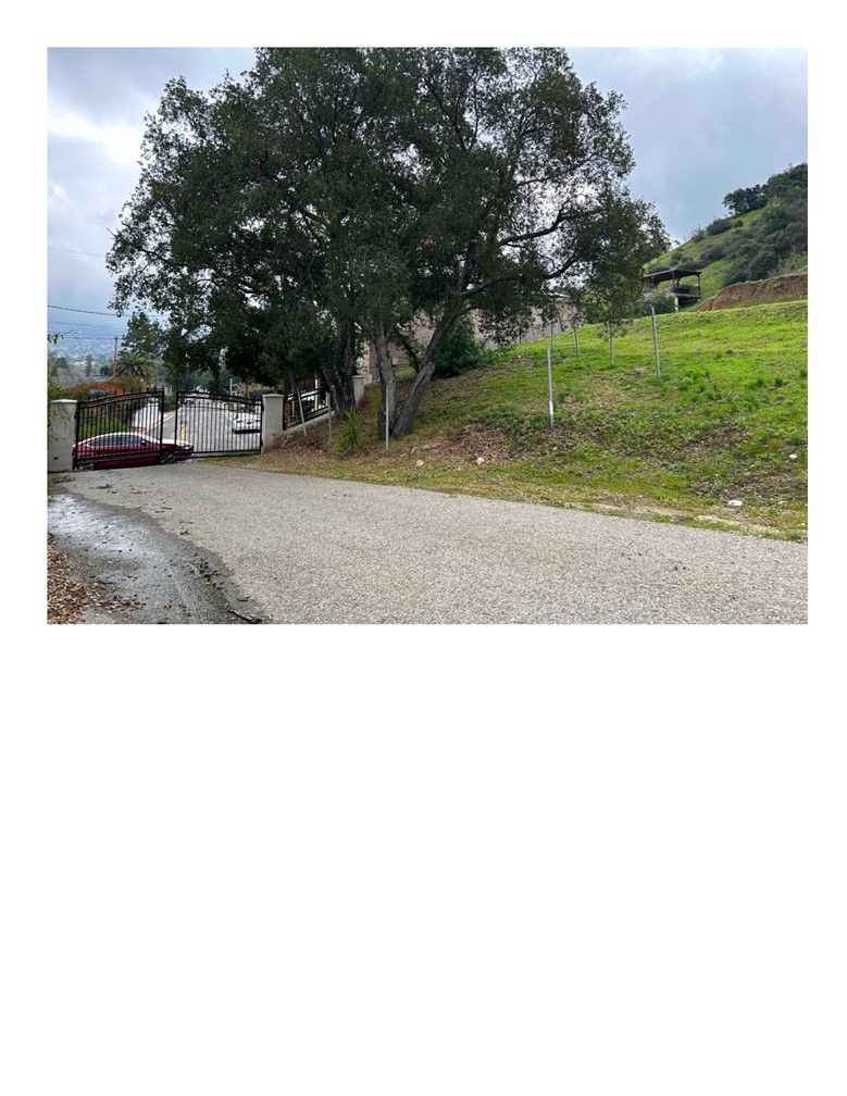 MLS #SR25130837 image #5