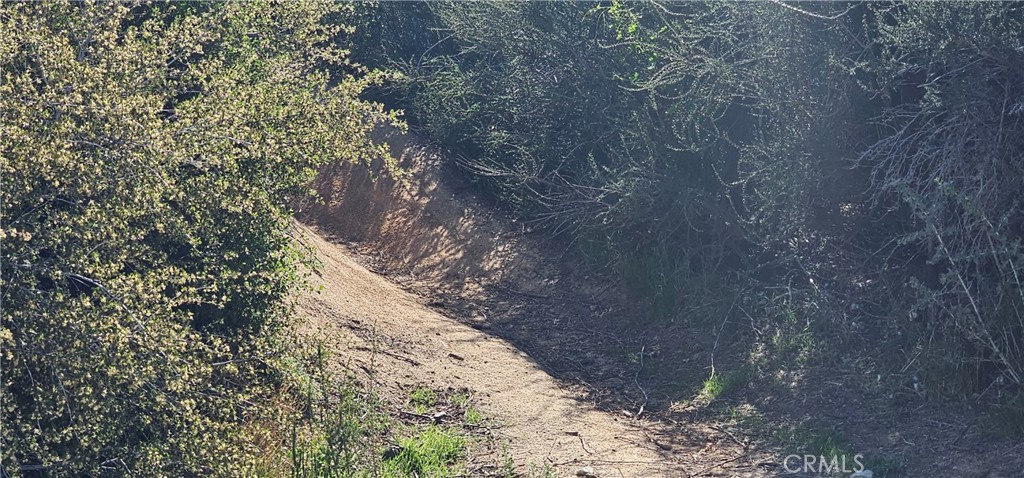 MLS #SR25131535 image #11