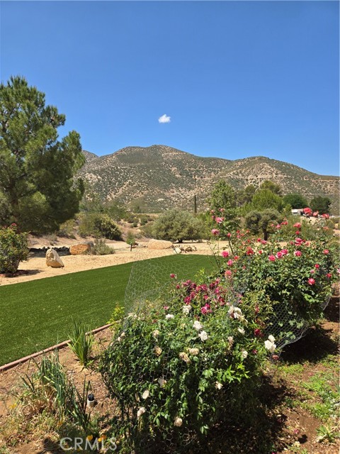 MLS #SR25132332 image #4