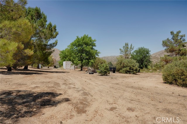 MLS #SR25132332 image #59