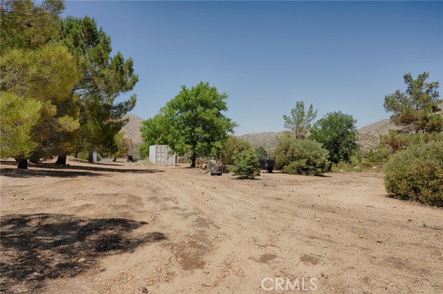 MLS #SR25132332 image #67