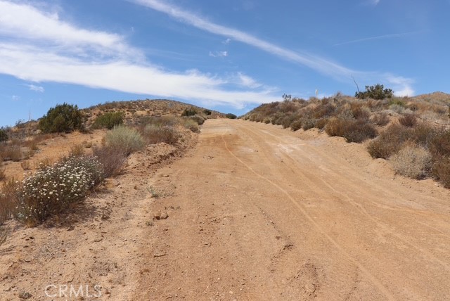 MLS #SR25133889 image #2