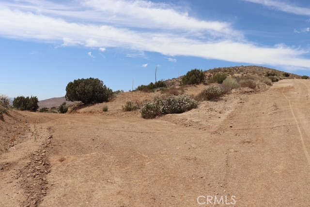 MLS #SR25133889 image #4