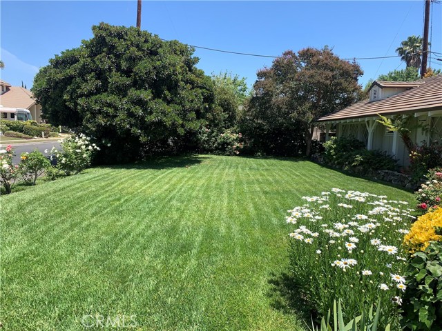 MLS #SR25135405 image #3