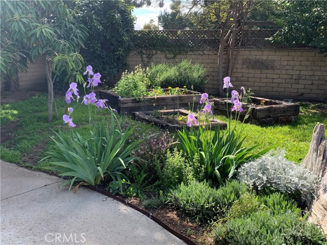 MLS #SR25135405 image #56