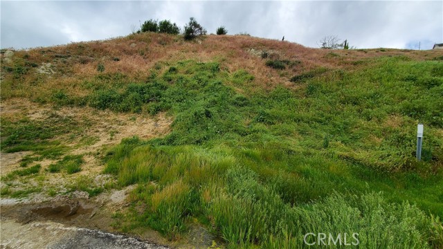 MLS #SR25135802 image #1