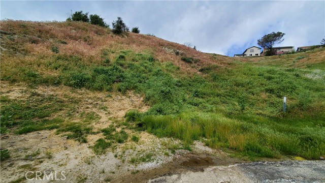 MLS #SR25135802 image #4