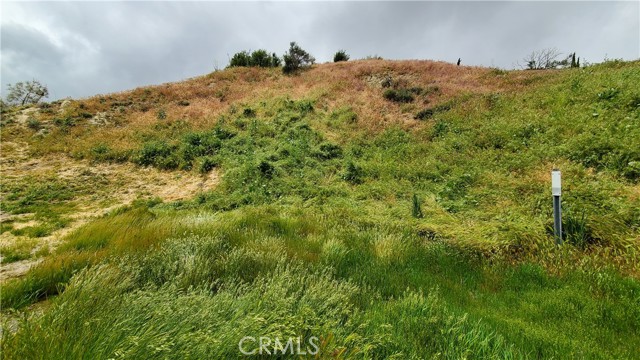 MLS #SR25135802 image #7