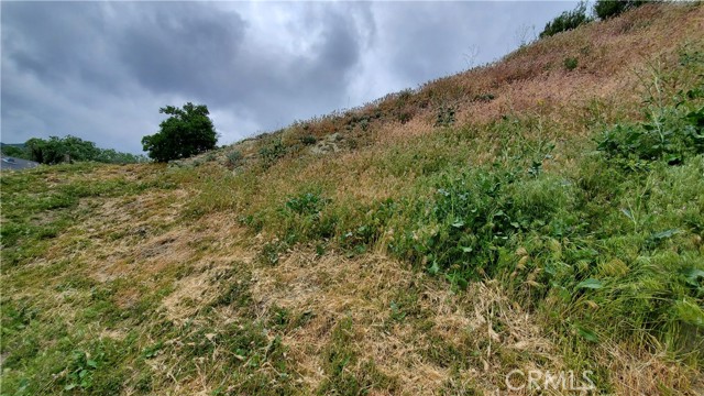 MLS #SR25135802 image #9