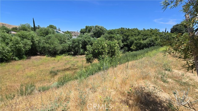 MLS #SR25135886 image #10