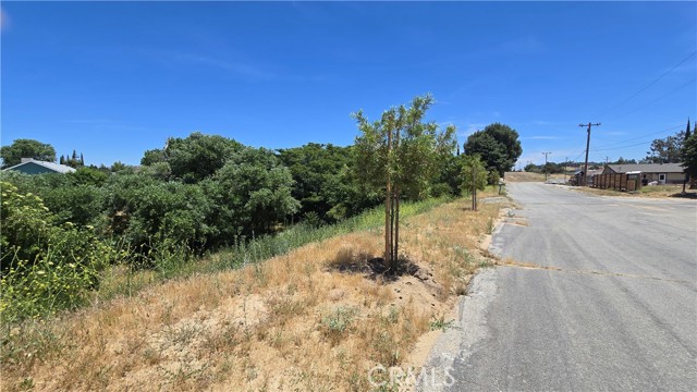 MLS #SR25135886 image #11